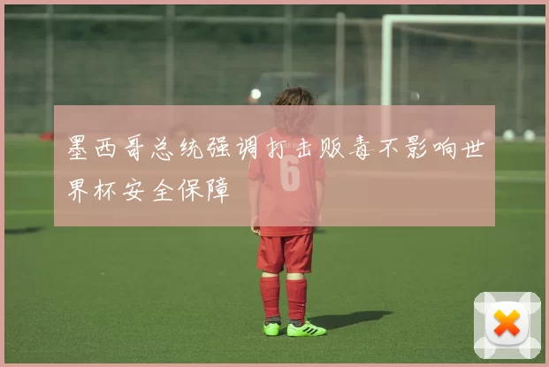 墨西哥总统强调打击贩毒不影响世界杯安全保障